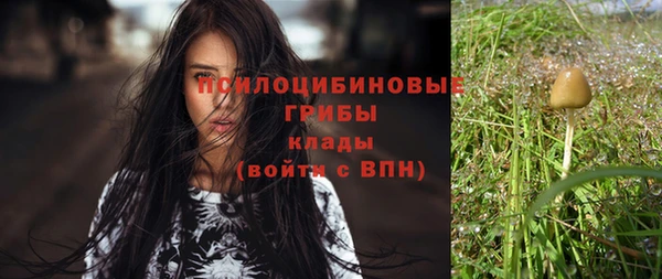 ПСИЛОЦИБИНОВЫЕ ГРИБЫ Семикаракорск