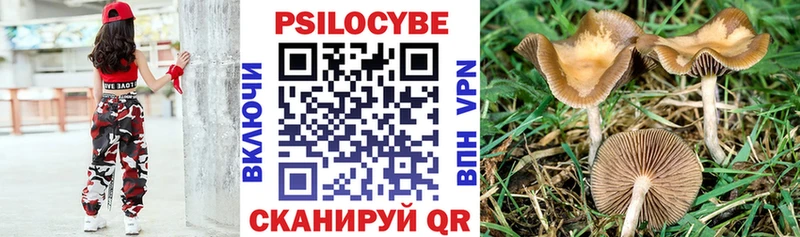 Псилоцибиновые грибы ЛСД  сколько стоит  Нерюнгри 