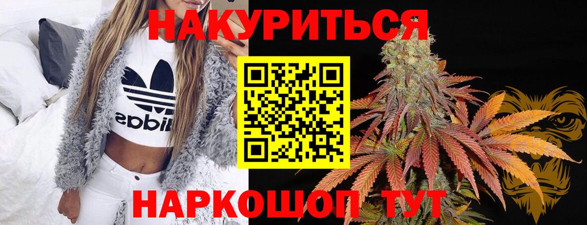 Бошки марихуана ГИДРОПОН  Вход с VPN  Нерюнгри  Каннабис Bruce Banner  Конопля сатива 